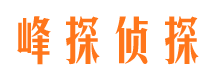 府谷市婚外情调查